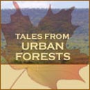 Tales From Urban Forests