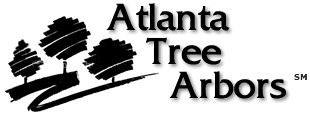 Dunwoody Tree Service Experts