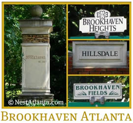 Tree removal services in Brookhaven, GA (Cobb County)