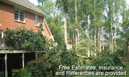 Tree removal in Alpharetta, GA